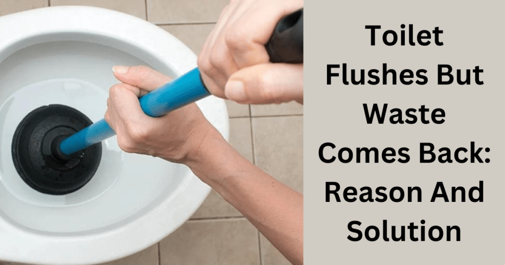 Toilet Flushes But Waste Comes Back: Reason And Solution