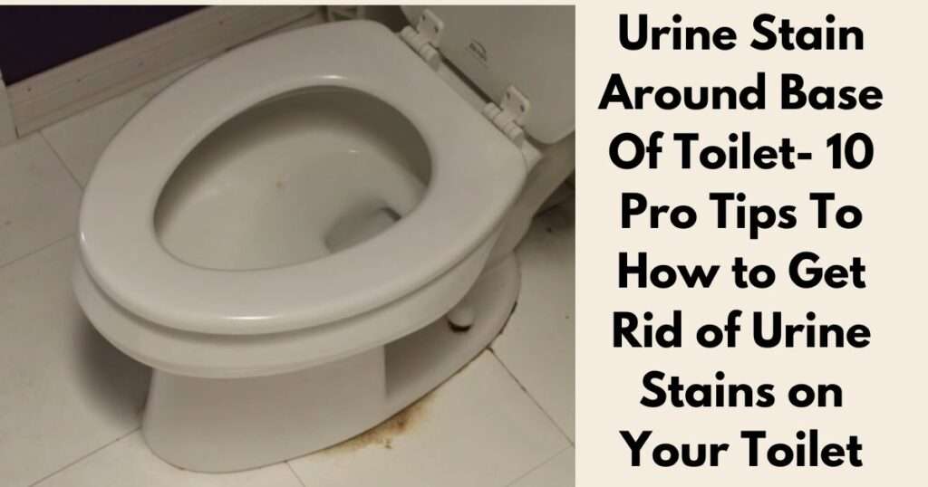 Urine Stain Around Base Of Toilet