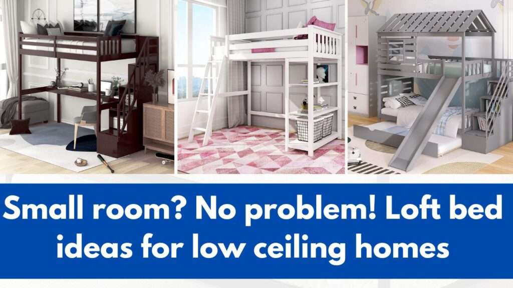 Loft bed ideas for low ceiling homes