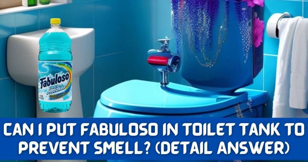 Can I Put Fabuloso In Toilet Tank To Prevent Smell? (Detail Answer)