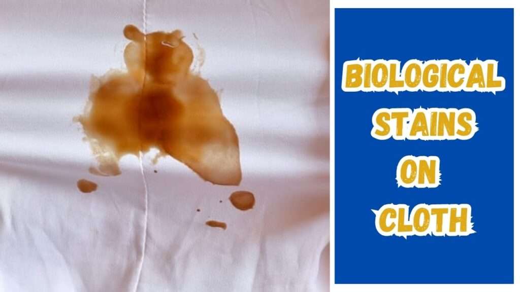 Biological Stains on cloth